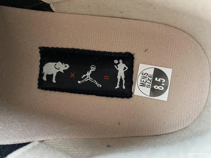 Elephant Desert Air Jordan CT8532-008 3 0709